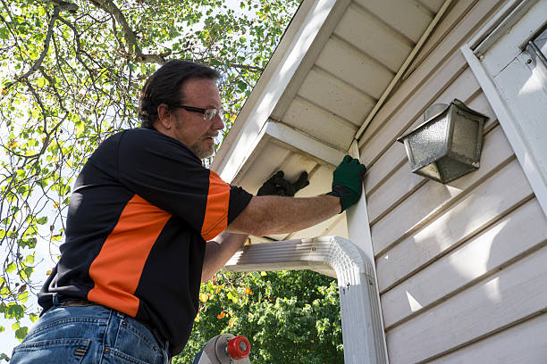 Best Yard Waste Removal  in Ruskin, FL